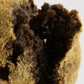 Can you smoke moon rocks in a bubbler?